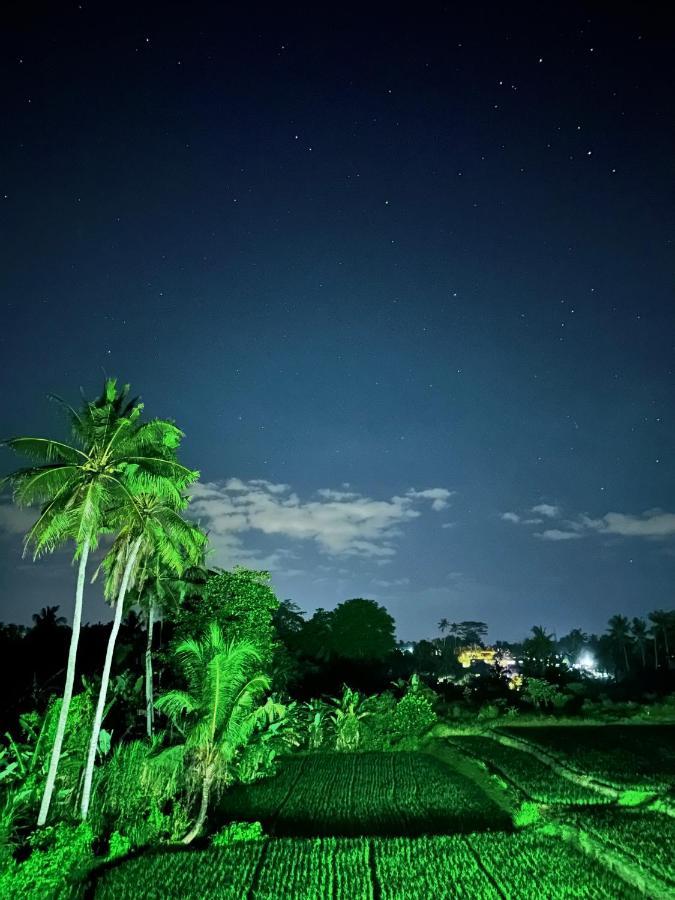 Villariz Ubud , Bali Exterior photo
